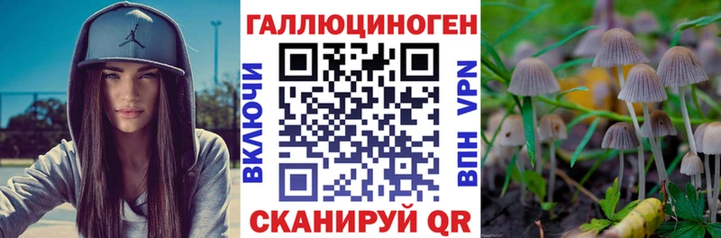 Галлюциногенные грибы мицелий  Свободный 