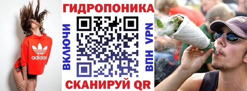 Конопля OG Kush  Свободный 